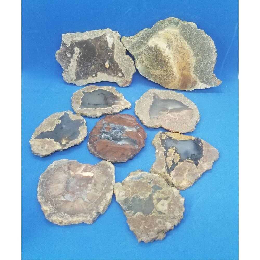 Oregon Thunder Egg Slices Unpolished Lot of 9 Pieces Various Sizes Shapes
